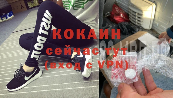 крисы Новозыбков