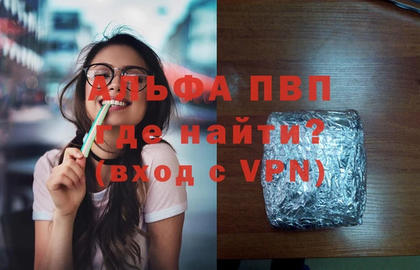 крисы Новозыбков