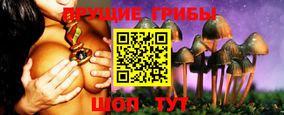 Псилоцибиновые грибы мухоморы  где найти   Луховицы  Галлюциногенные грибы GOLDEN TEACHER 